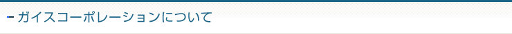ガイズコーポレーションについて