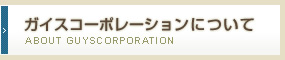 ガイズコーポレーションについて