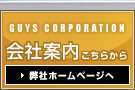 ガイスコーポレーションの会社案内